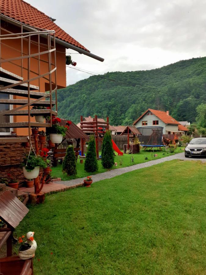 Casa De Oaspeti Cristian Praid Værelse billede