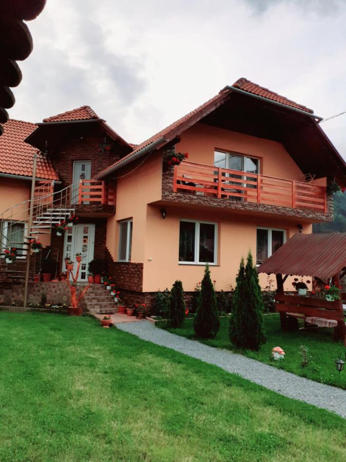 Casa De Oaspeti Cristian Praid Værelse billede