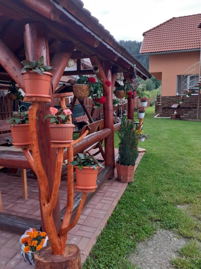Casa De Oaspeti Cristian Praid Eksteriør billede
