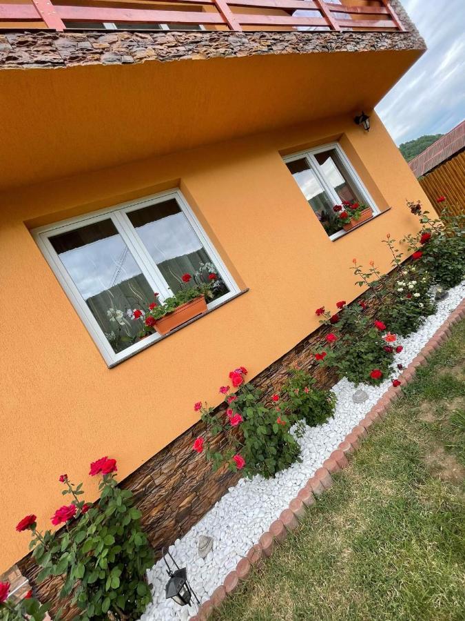 Casa De Oaspeti Cristian Praid Eksteriør billede