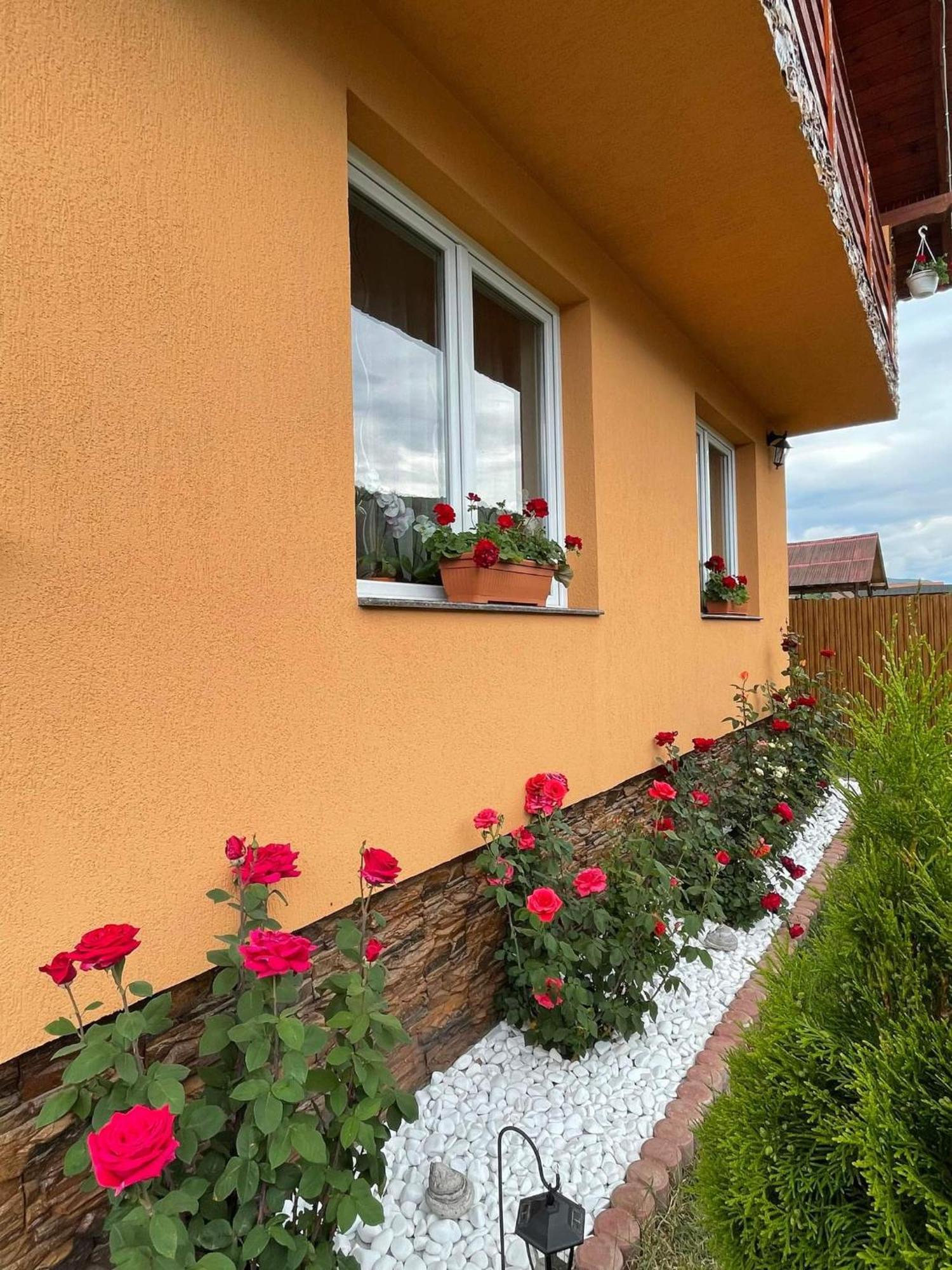 Casa De Oaspeti Cristian Praid Værelse billede